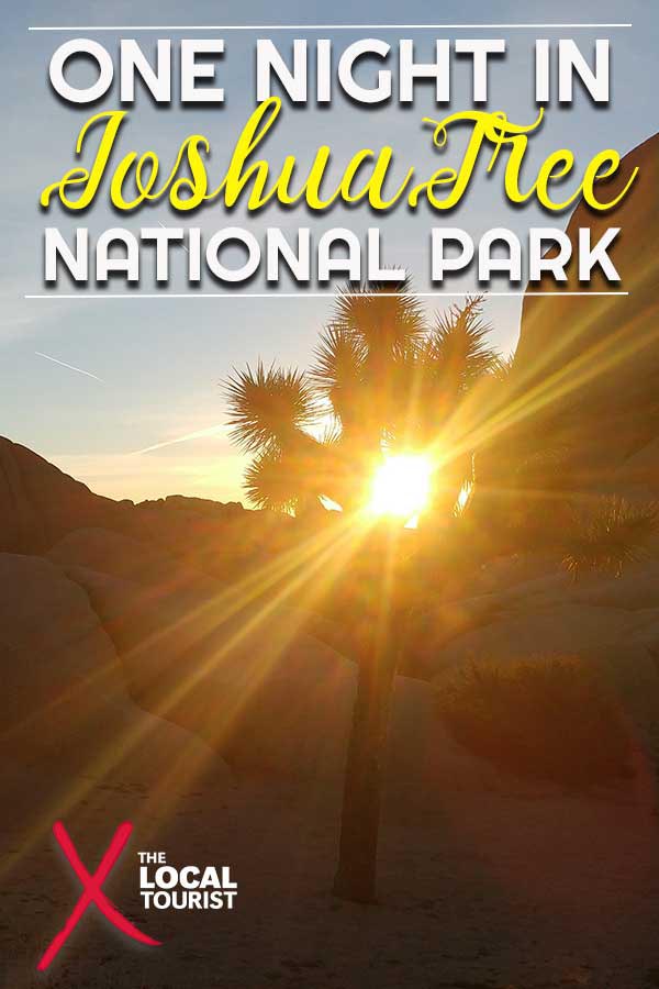 Find out what it's like to spend a night in Joshua Tree National Park in this excerpt from "Two Lane Gems, Vol. 1: Turkeys are Jerks and Other Observations from an American Road Trip."
