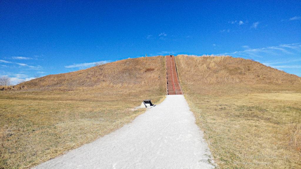 View from the top of one of the terraces on Monks Mound
