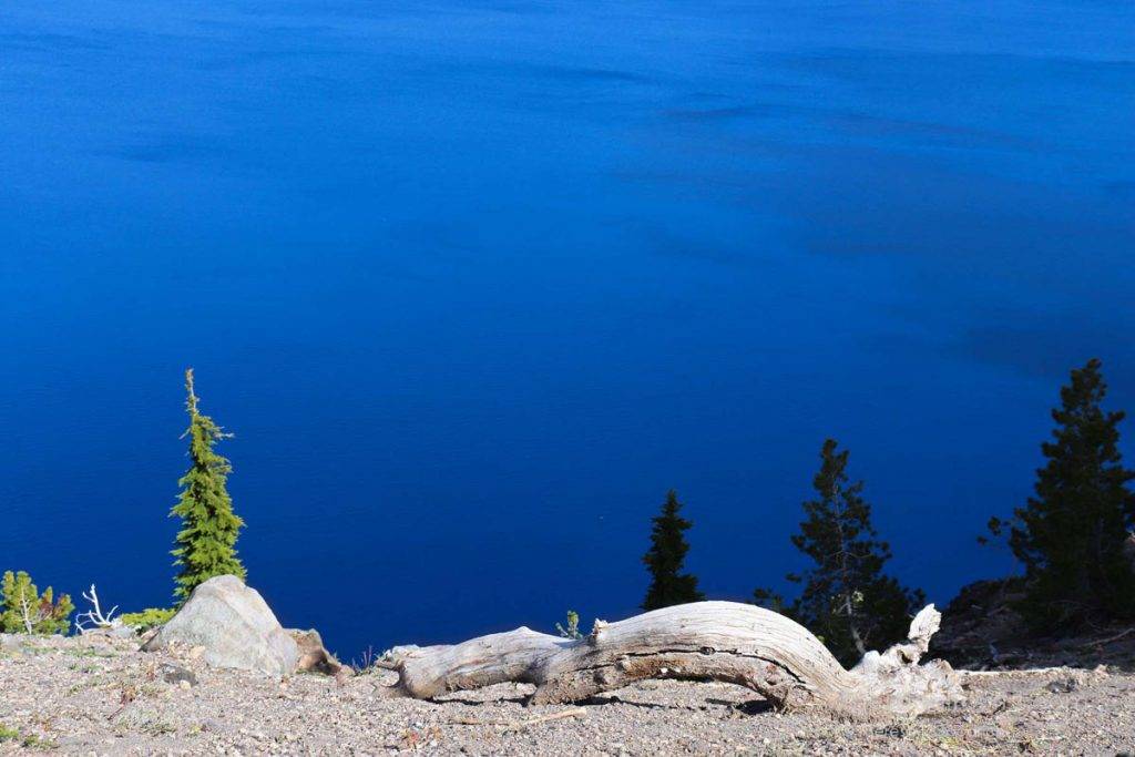 A dead tree overlooks Crater Lake