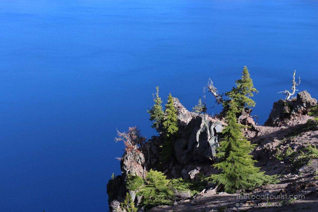 Bright green evergreens contrasted with the deep blue of Crater Lake