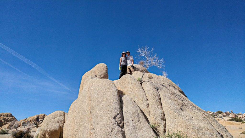 Fellow campers on top of one of the jumbo rocks at Joshua Tree National Park