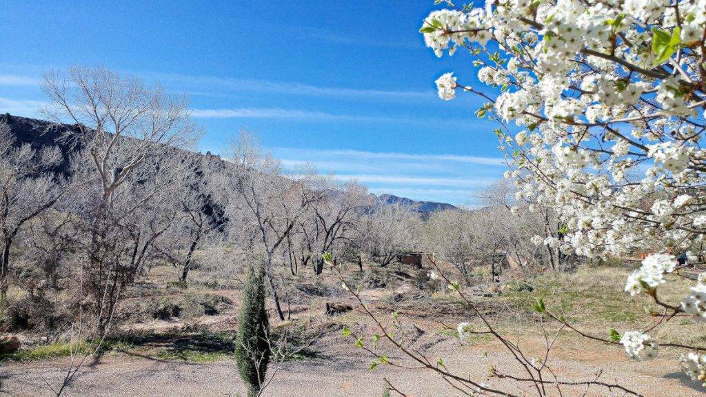 Springdale Utah