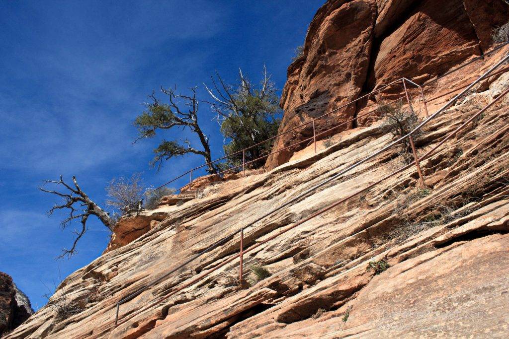 Switchback trail in Zion National Park