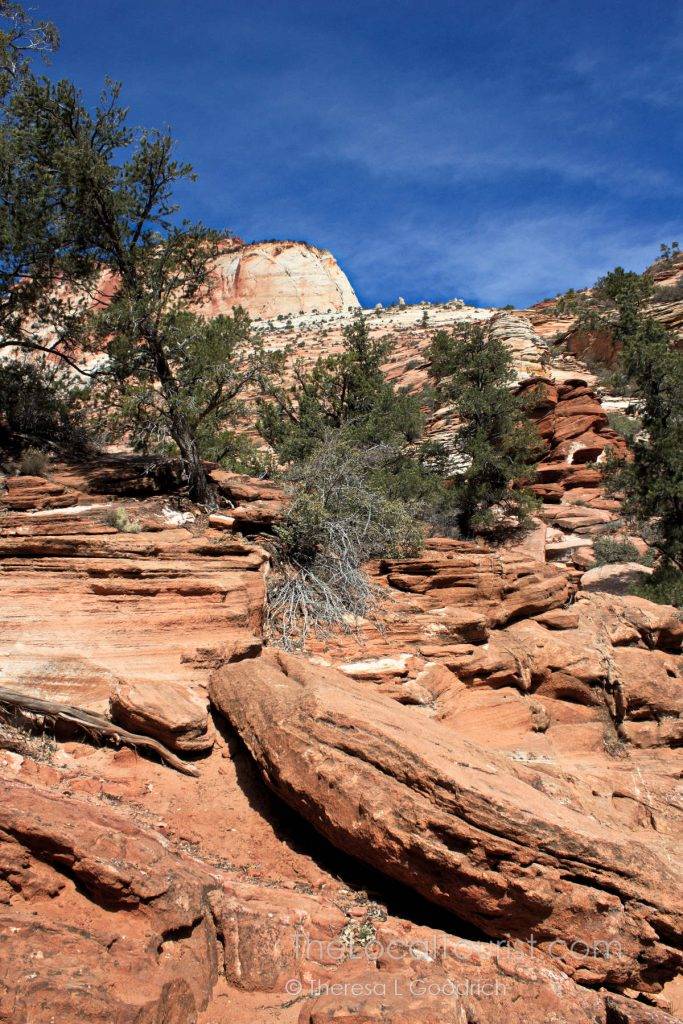 Zion National Park