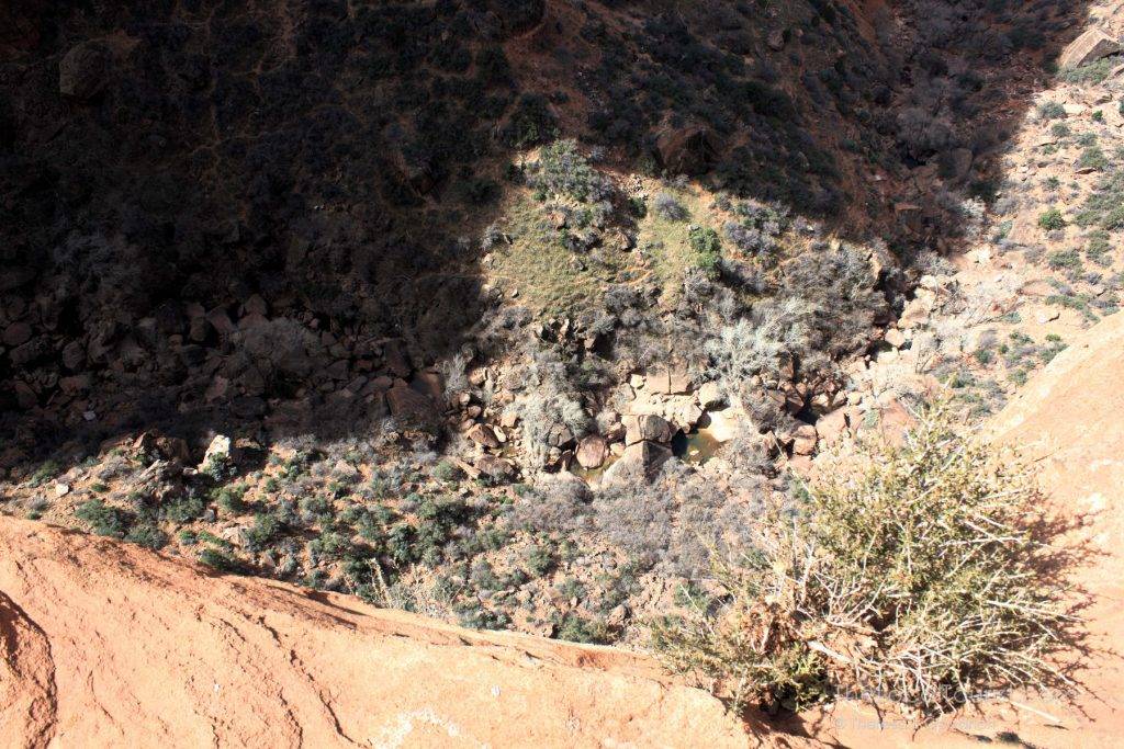 Looking down in the canyon in Zion National Park