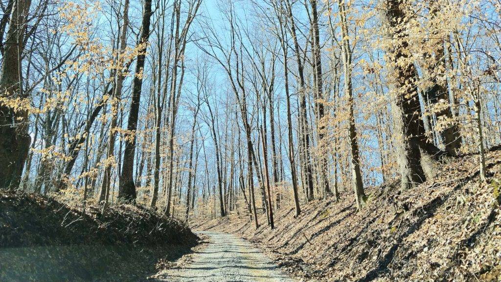 Rutted road in Brown County