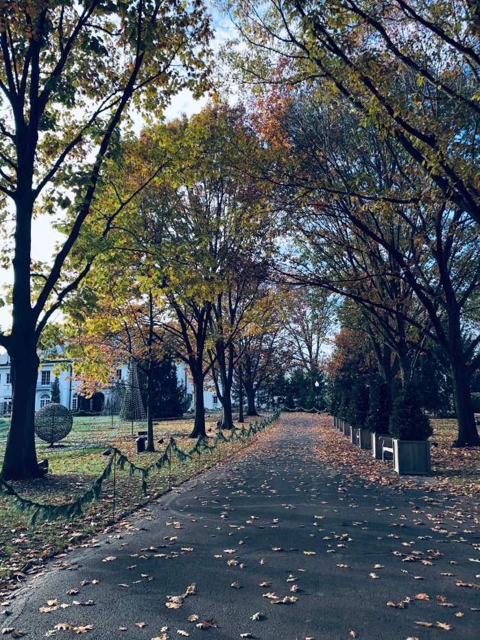 Garden walk at Newfields