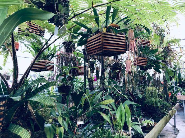 Greenhouse at Newfields