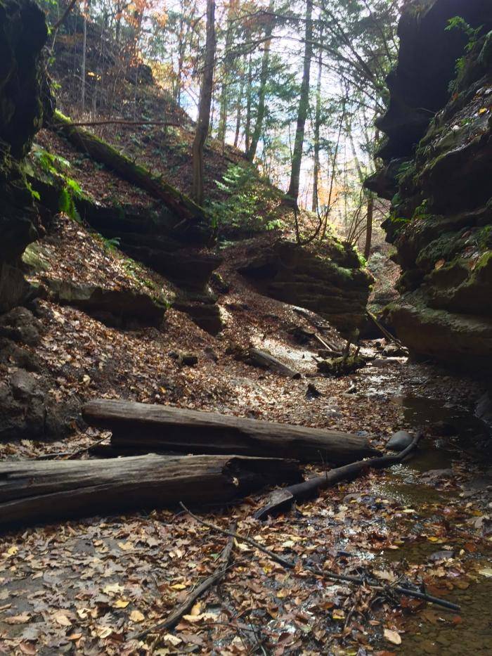 Rocky hiking path in Turkey Run State Park