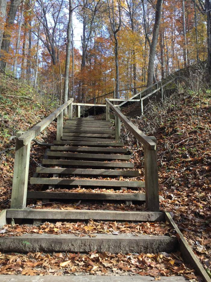Staircase through Trail #3