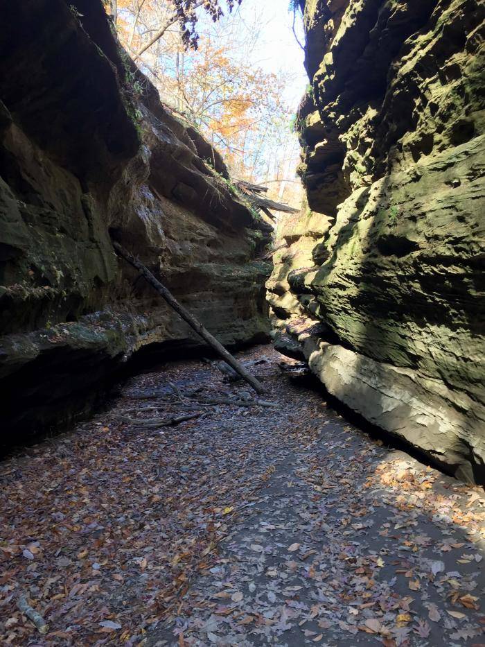 Trail cutting through the rock walls