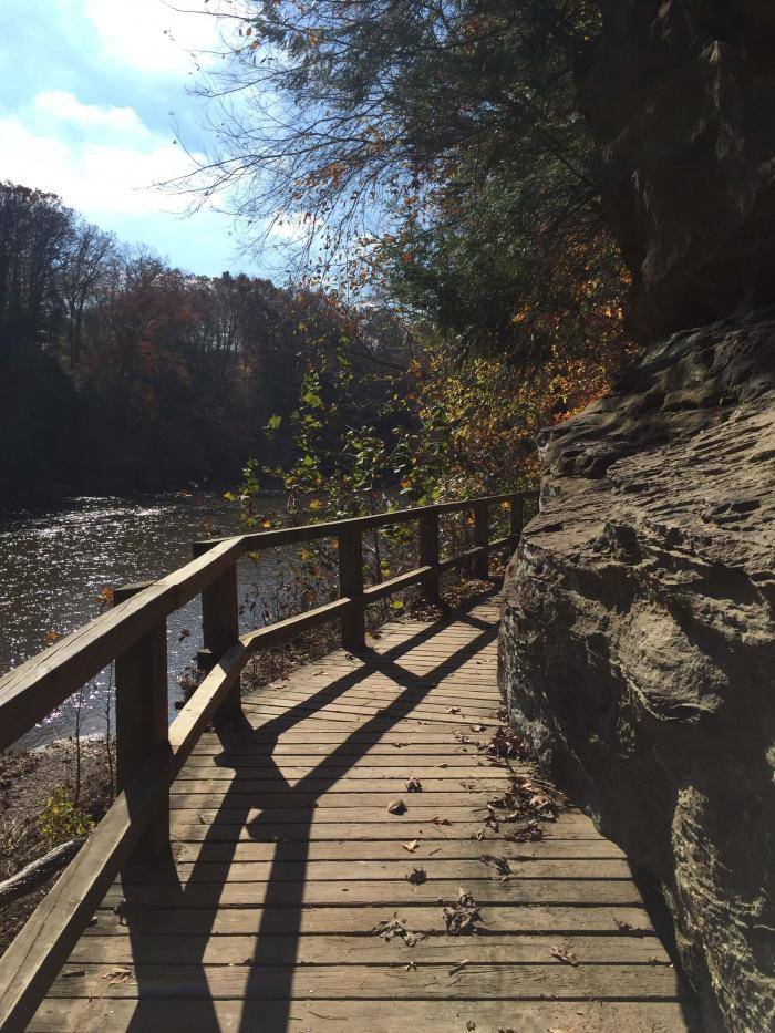Wooden trail along Sugar Creek in Turkey Run State Park