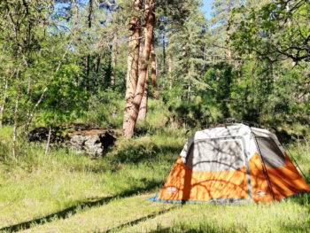Looking for the best places to camp in the Midwest? Camping at Horse Thief Campground near Mount Rushmore in South Dakota