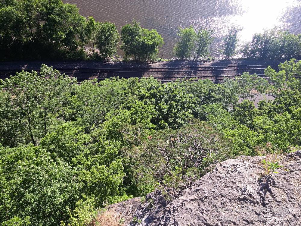 Looking down to the Mississippi River from the bluffs at Mississippi Palisades State Park, one of our favorite places to camp in Illinois