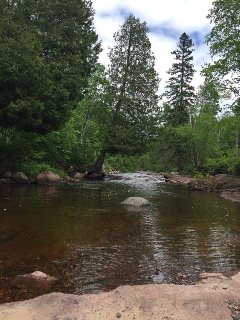 Finland State Forest in Finland, Minnesota; photo by Martha
