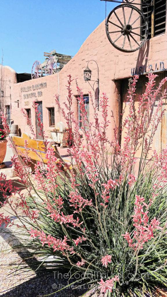Old Town Scottsdale
