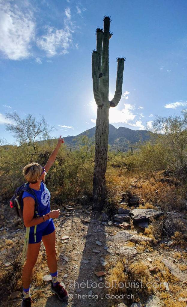 Learning about the saguaro with Linda from Arizona Outback Adventures