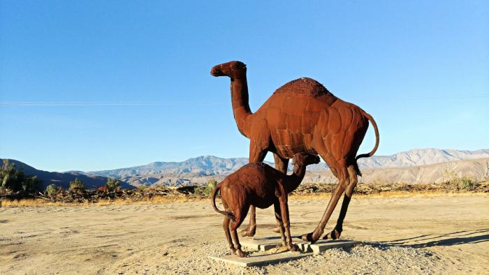 Borrego Springs Camel Sculpture by Ricardo Breceda