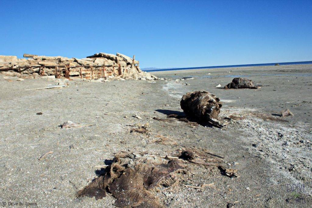Bombay Beach, California, on the Salton Sea
