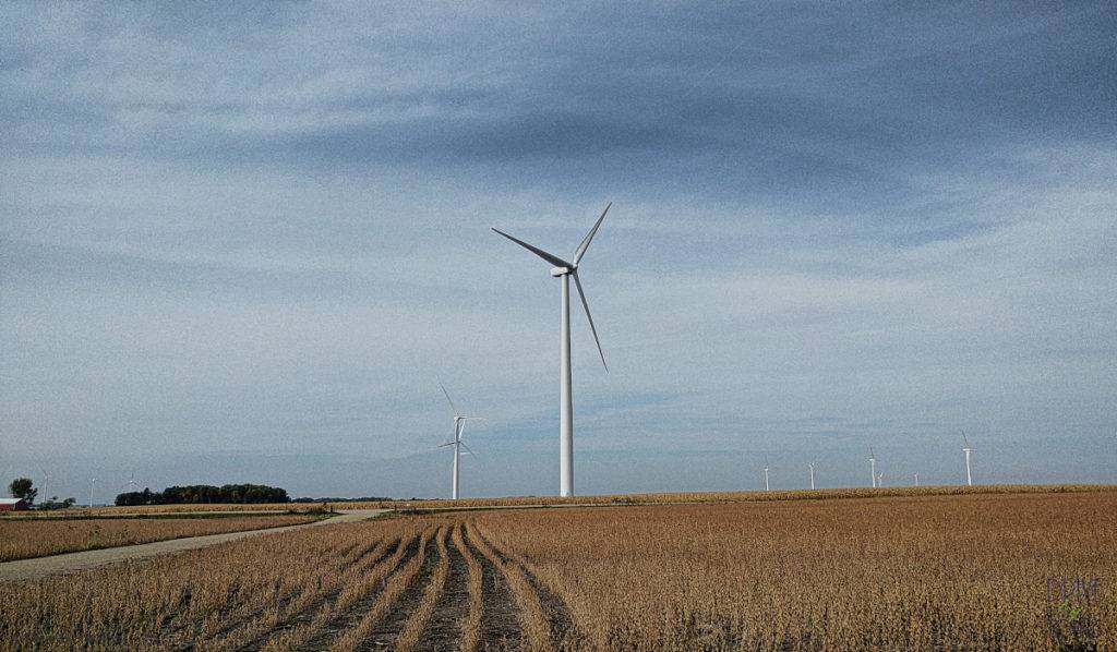 Windmill Farm