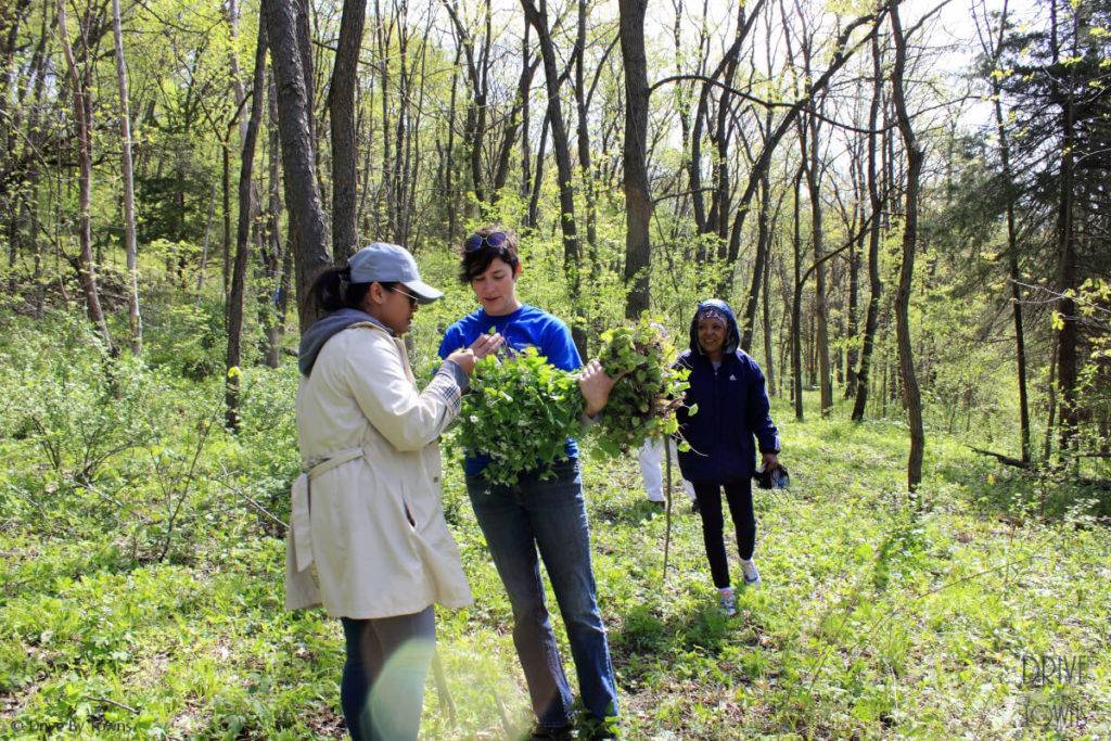 Morel media hunt at Eagle Ridge