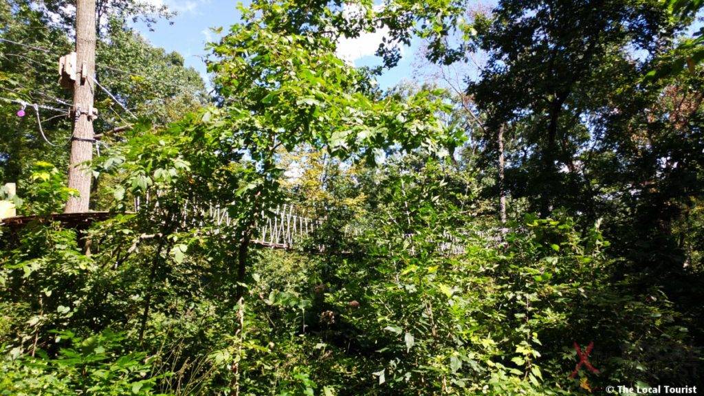 Long Hollow Canopy Tours Suspension Bridge