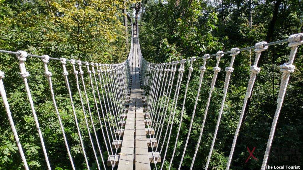 Long Hollow Canopy Tours Suspension Bridge