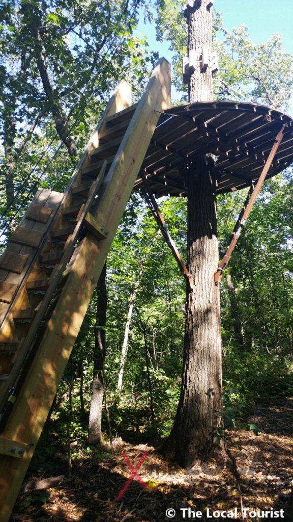 Long Hollow Canopy Tours - first platform