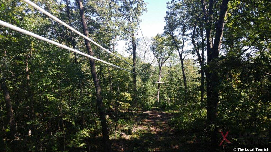 Long Hollow Canopy Tours
