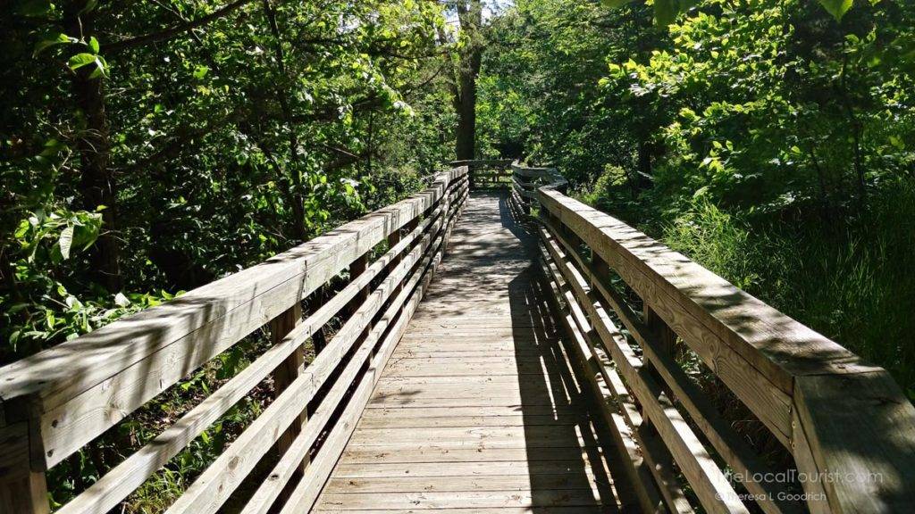 Boardwalk to Smith Falls