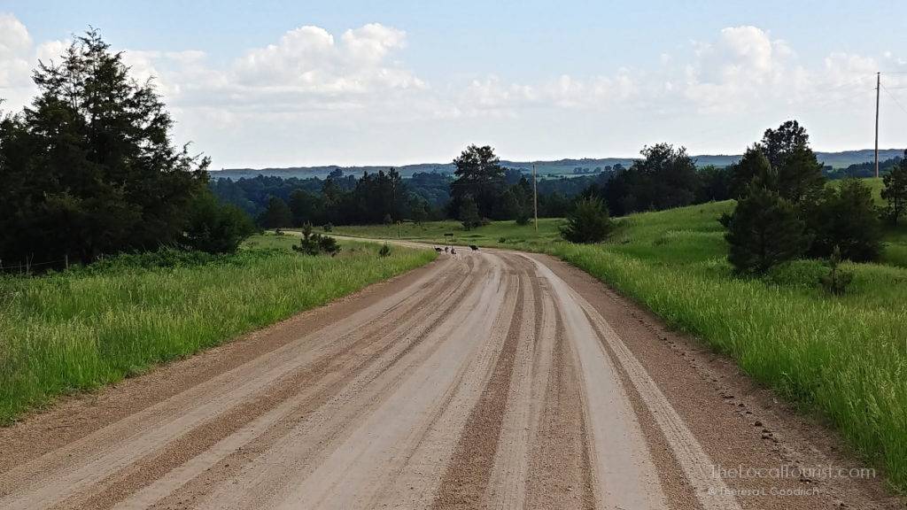 Muddy road into Smith Falls State Park - and yes, those are turkeys at the end (jerks)