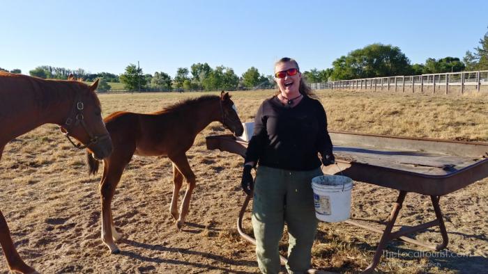 Theresa Goodrich in her happy place feeding horsies