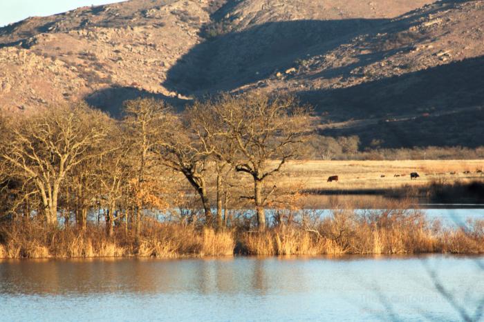 Wichita Mountains Wildlife Refuge