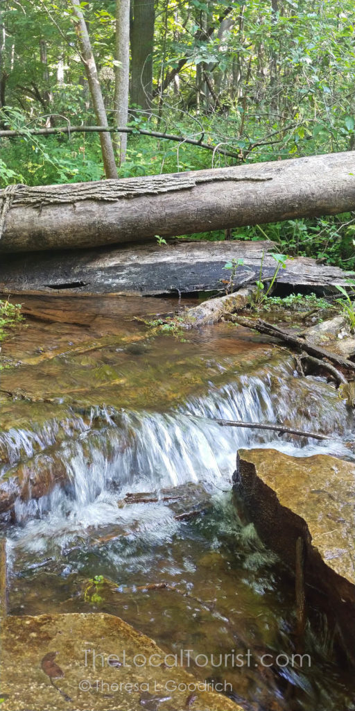 Small waterfall in Fox Bluff Conservation Area