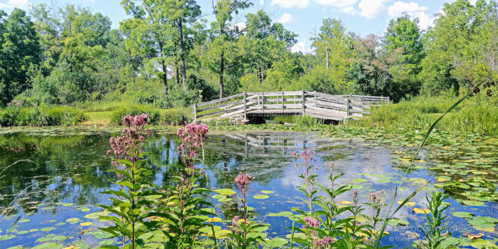 Gorgeous pond with lily pads and picturesque bridge at Fel-Pro RRR
