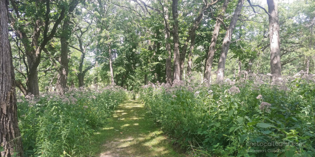 Pleasant Valley Conservation Area in McHenry County