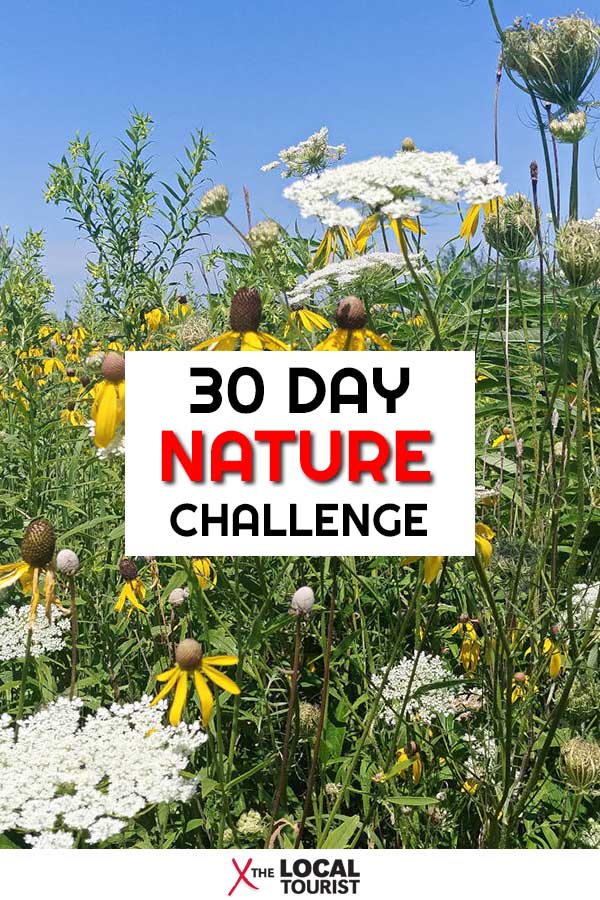 Want to feel better, both mentally and physically? Take a 30 Day Nature Challenge in your own backyard!
